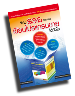 Programmer / Developer